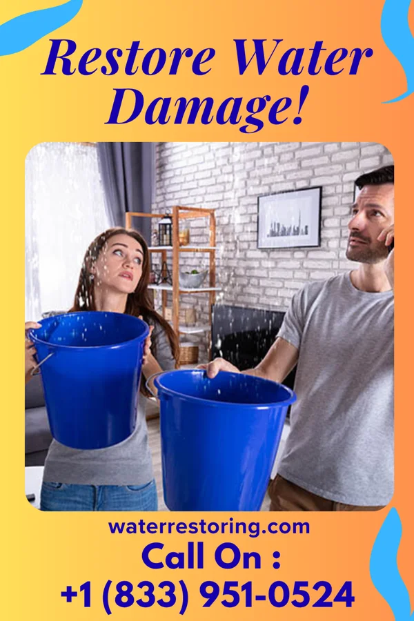water restoration Elite Sewage Cleanup Network Nazareth