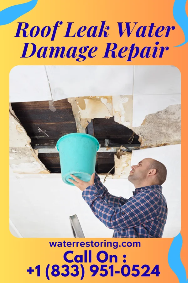 Roof Leak Water Damage Repair in Nazareth, TX