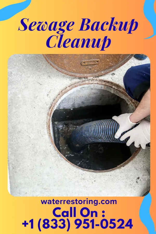 Sewage Backup Cleanup in Nazareth, TX